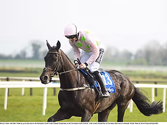 Tiger Roll and Burrows Saint a...