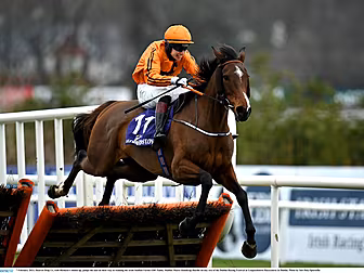 Heaven Help Us going to Chelte...