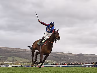 Cheltenham Festival | Racing T...