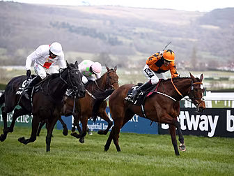 John Duggan's Cheltenham Chari...
