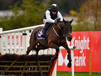 Irish dominance continues as F...
