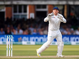 Experienced Ireland wicket-kee...