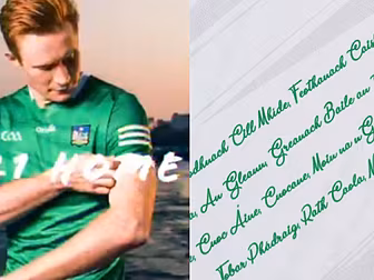 REVEALED: New Limerick jersey...