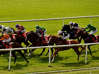 Horse Racing Ireland confirms...
