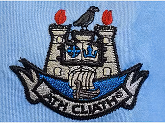 Dublin GAA stars hold training...