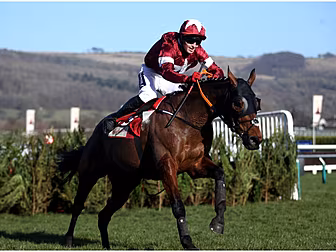 Tiger Roll will miss the Irish...