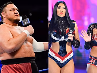 Several WWE stars released in...