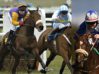 Bridle Horses or Lazy Horses |...