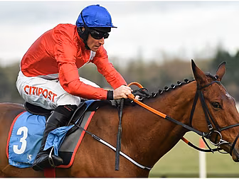 John Duggan's Punchestown Prev...