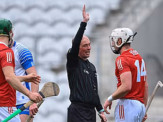 David Herity: Hurling's new ad...