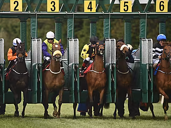Horse Racing Ireland confirm r...