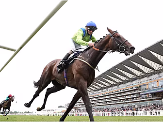 Subjectivist wins Gold Cup at...