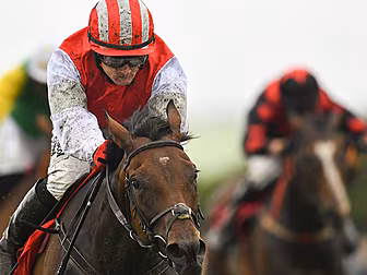Enright regains love of racing...