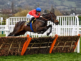 'We have the best horses' | Sa...