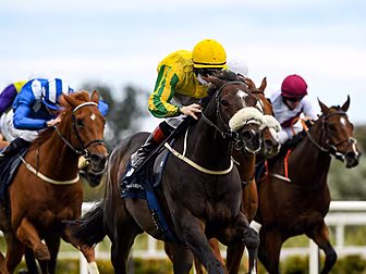 Leopardstown Christmas Festiva...