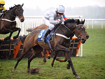 'The horse landed on top of me...
