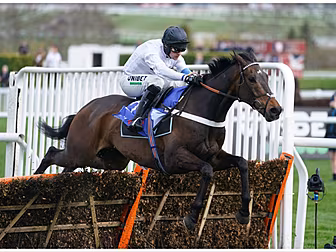 John Duggan's Cheltenham Chari...