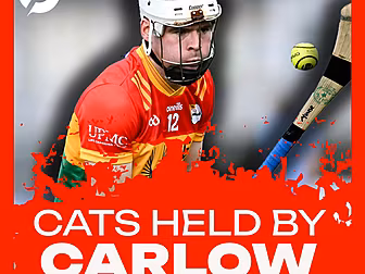 PAUL COADY: Carlow's draw agai...