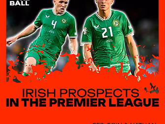 Irish Players in the Premier L...