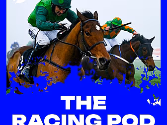 The best of Christmas racing |...