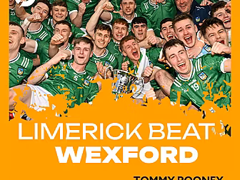 Limerick down Wexford in Divis...