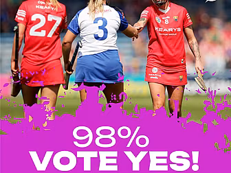98% VOTE YES!: 'The thought of...