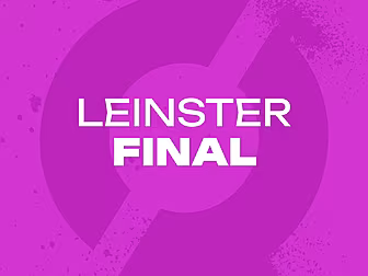 LEINSTER HURLING FINAL: 'I'm a...