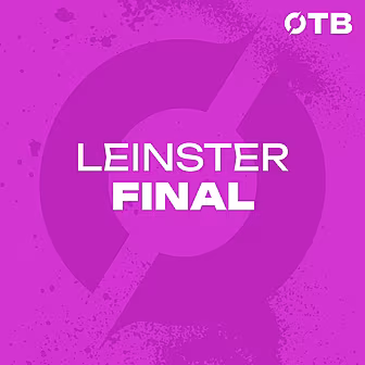 LEINSTER HURLING FINAL: 'I'm a...