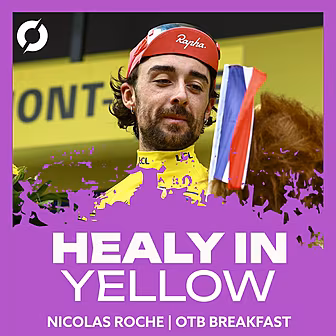 NICOLAS ROCHE: 