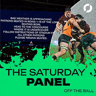 THE SATURDAY PANEL: B&I Lions...
