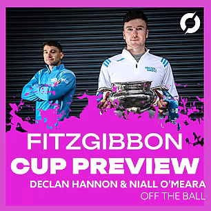 FITZGIBBON CUP PREVIEW: 
