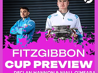FITZGIBBON CUP PREVIEW: 