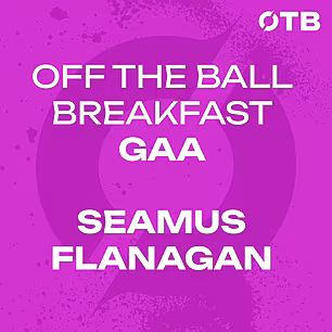 SEAMUS FLANAGAN: ’It didn’t ra...