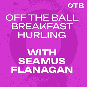 SEAMUS FLANAGAN: Kilkenny's sl...