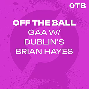 Dublin's Brian Hayes: Recoveri...