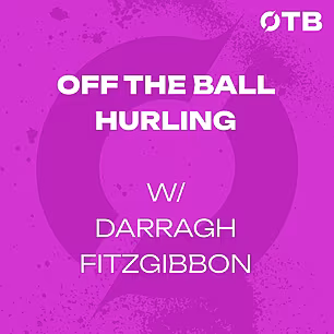 Darragh Fitzgibbon: Missing ou...