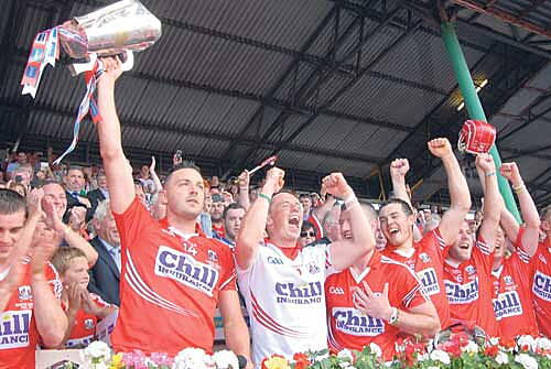 Back at the top: Cork captain Pa Cronin lifts the cup after the Rebels won the 2014 Munster SHC final after victory over Limerick in Páirc Uí Chaoimh.