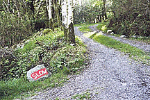 Coolmountain: court a civilised remedy for noise issues