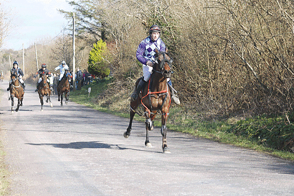 Contender: Lakeside Dragon and jockey Maurice Ahern will line up for the 2015 All-Ireland road trotting championships in Baltimore this Sunday.
