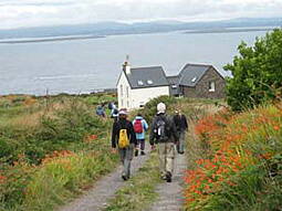 Cape Clear