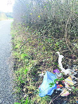 Litter Louts