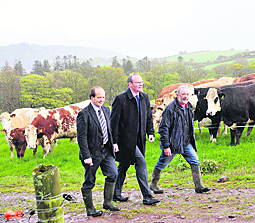 Beef data programme
