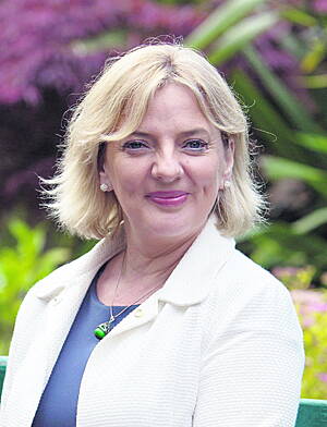 Liadh Ni Riada: calling for public to support plans