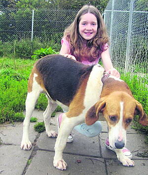 Ava Archbold from Clonakilty donated the last &not;100 of her confirmation money to help Rufus who needed an operation on his badly-infected ears.
