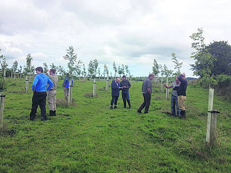 Agroforestry