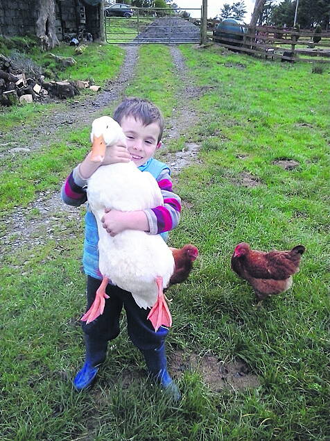 Duck Quackers