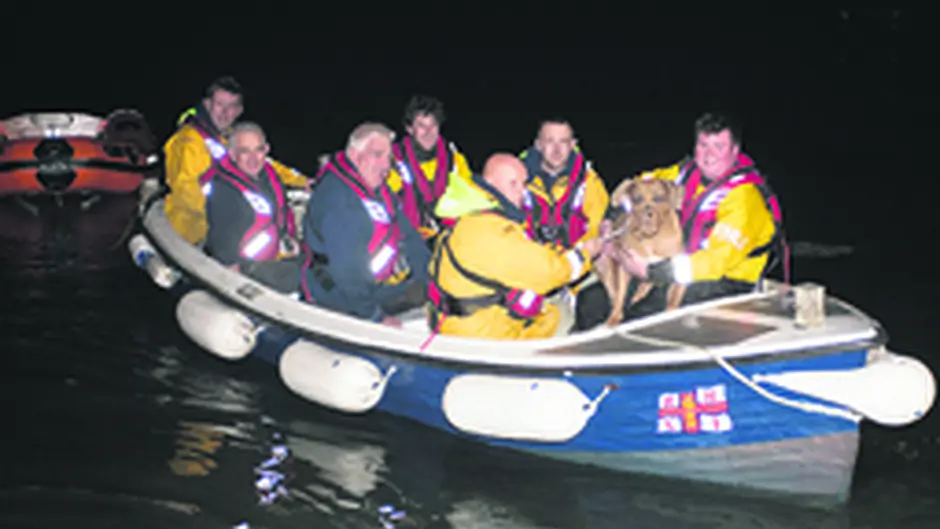 Dog rescue a first for Lifeboat Image