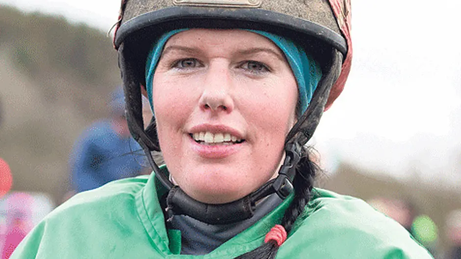 Meadowlands Falcon swoops to Horse of Year title Image