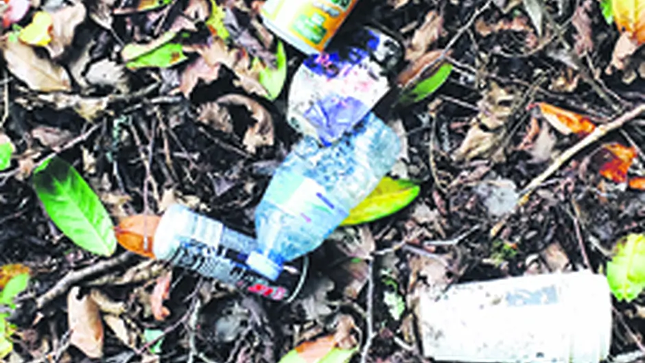 Litter Almost 600kg of waste per person Image