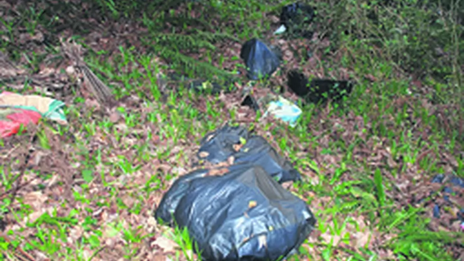 LITTER Spirit of co operation is alive and well within the communities of West Cork Image
